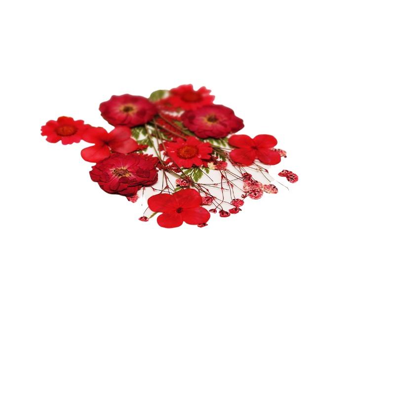 실제 천연 압축 건조 식물 꽃 DIY 공예 재료 네일  - Resin Craft Ideas 리뷰 및 가격