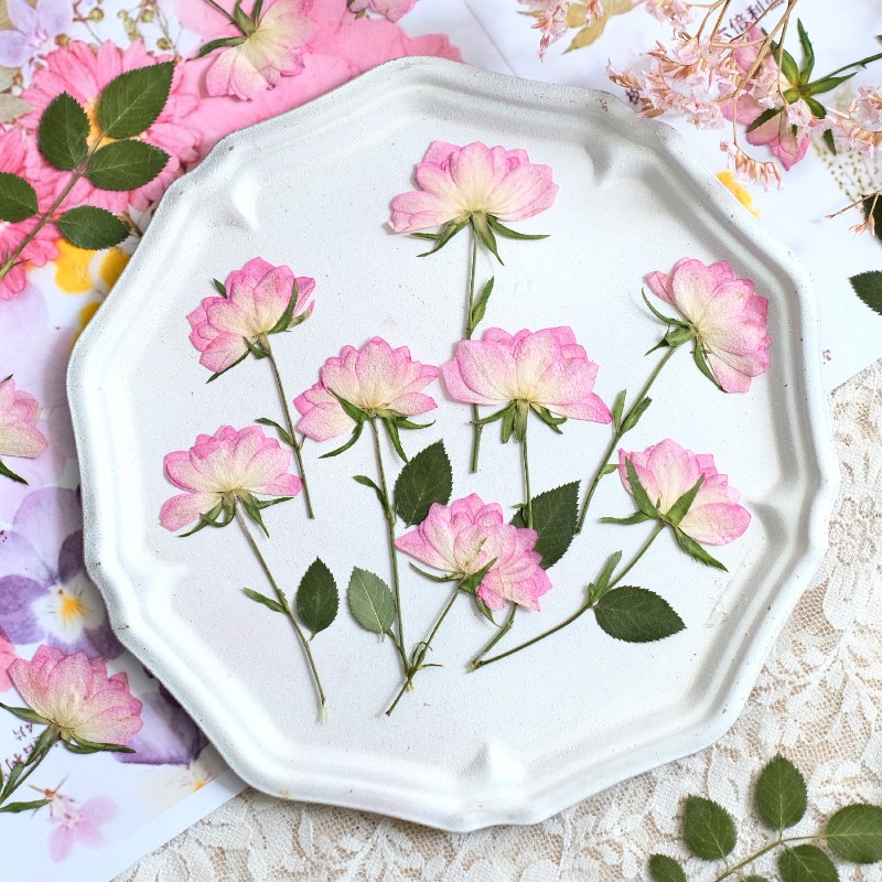 12개, 휴대폰 케이스 DIY용 진짜 건조 압축 꽃,  - Resin Craft Ideas 리뷰 및 가격