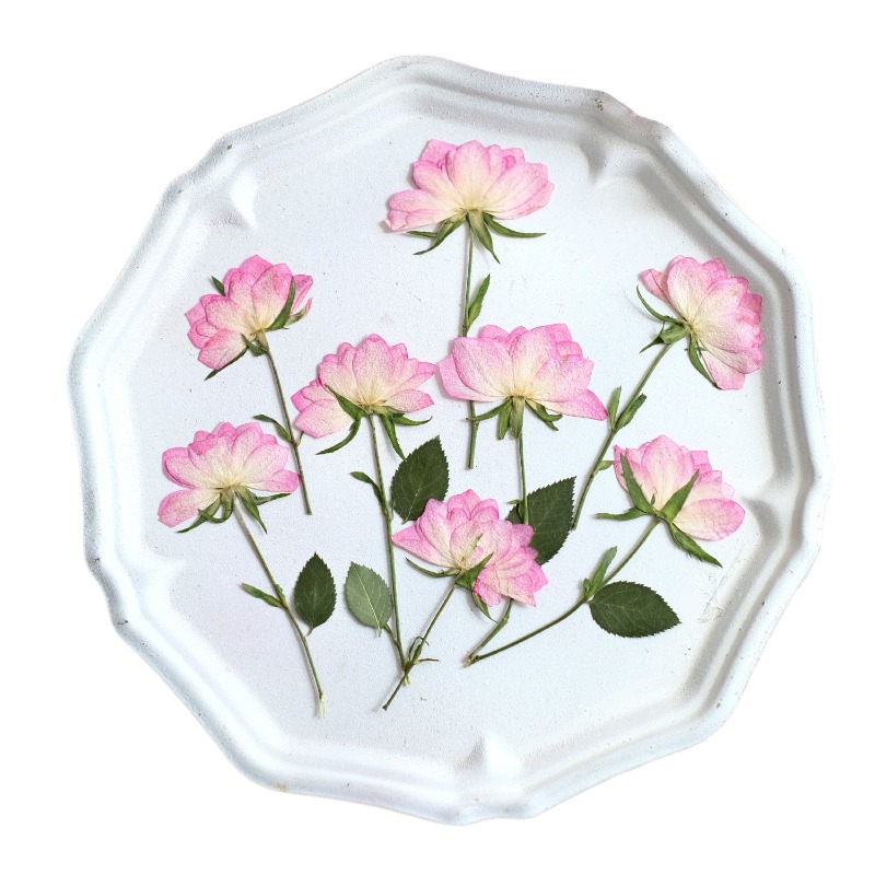 12개, 휴대폰 케이스 DIY용 진짜 건조 압축 꽃,  - Resin Craft Ideas 리뷰 및 가격